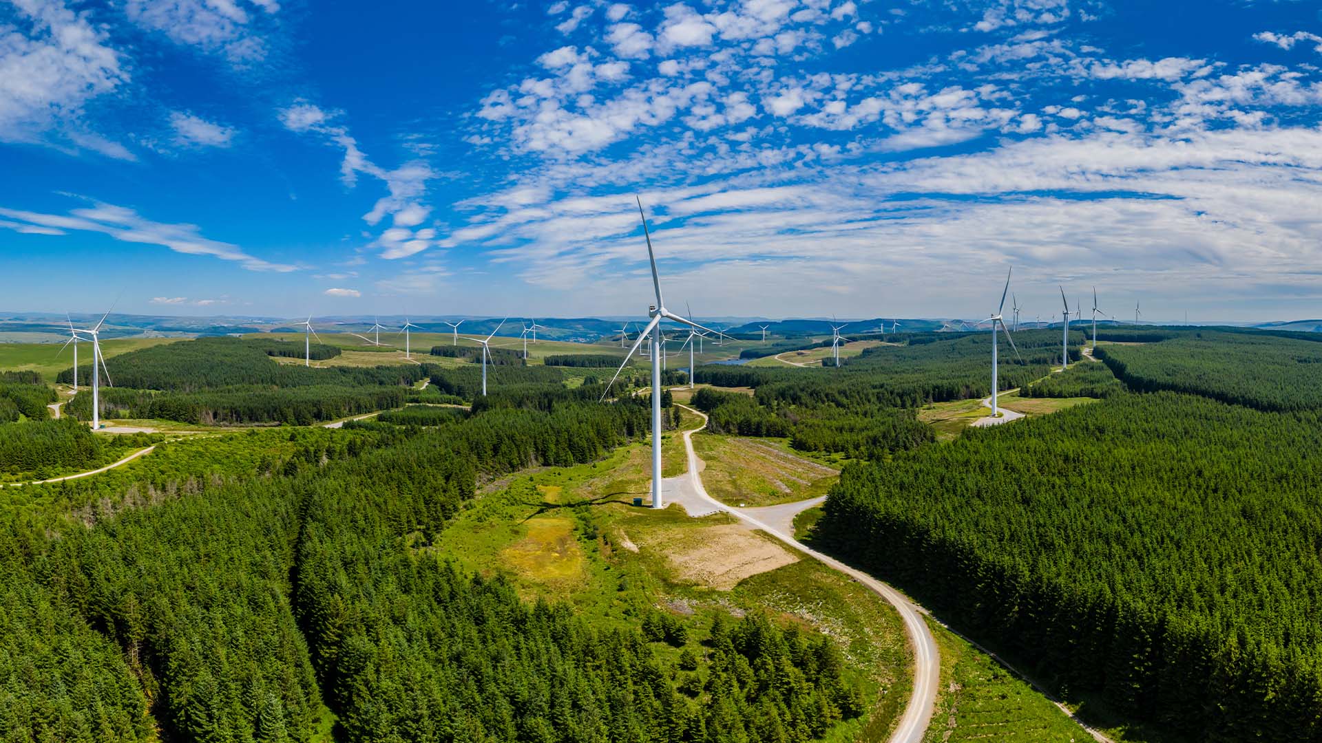 Wind Farm