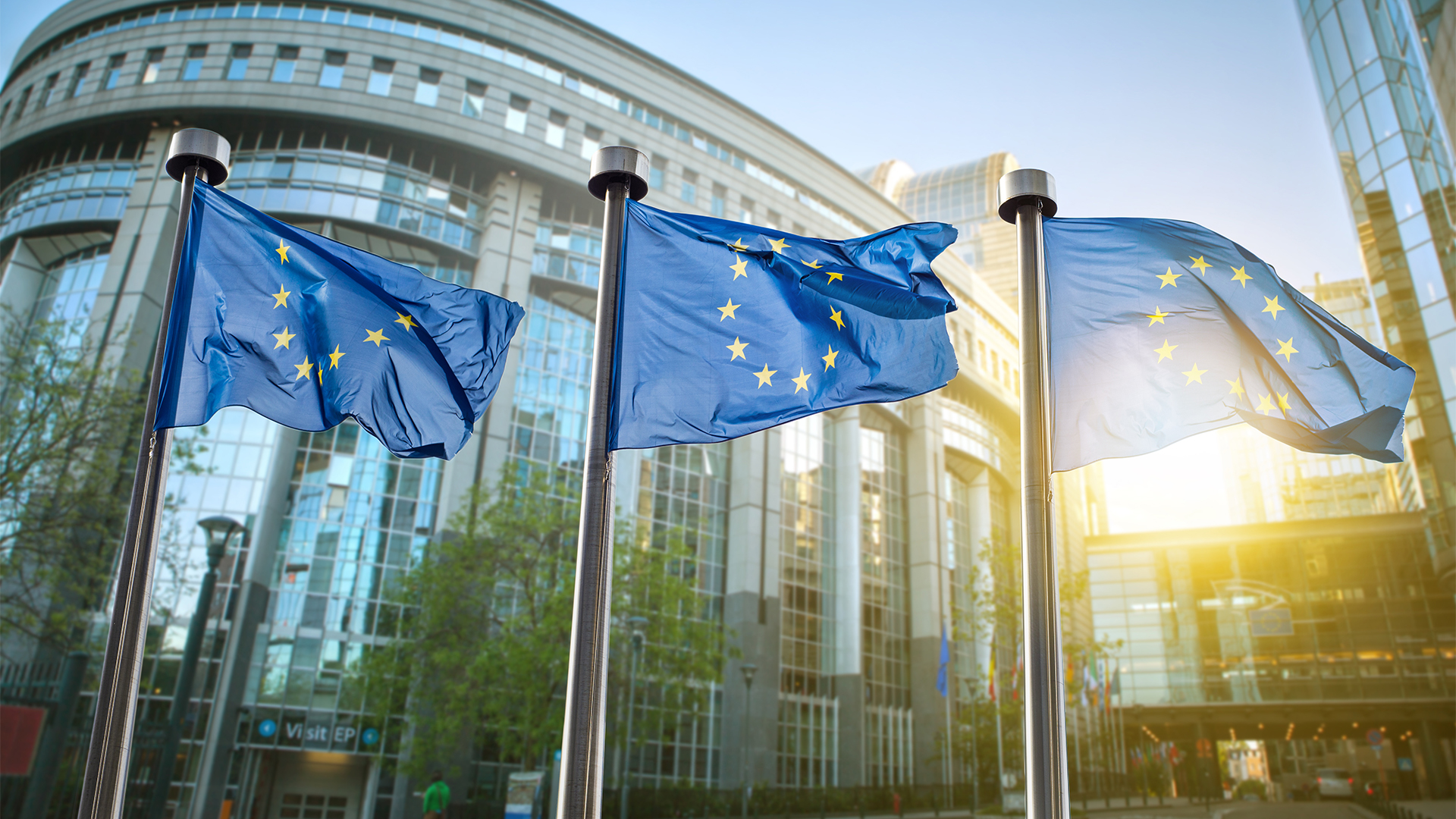 European union flag against parliament in Brussels