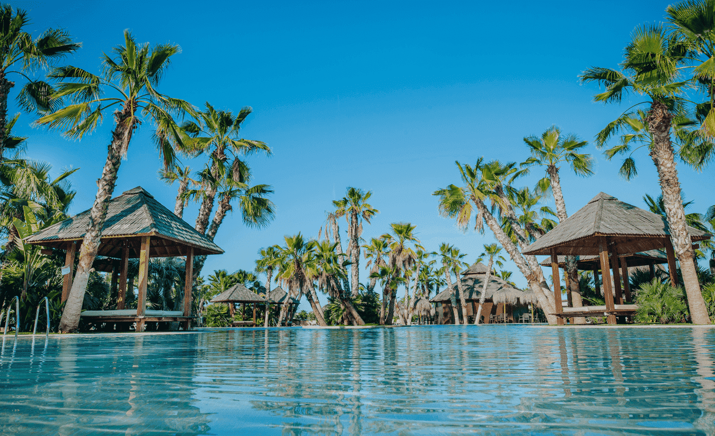 Winner small image - Alannia Resorts