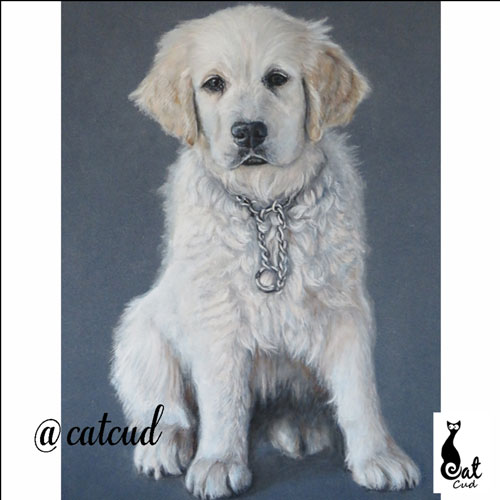 Winner small image - Catherina’s Fine Art & Pet Portraits