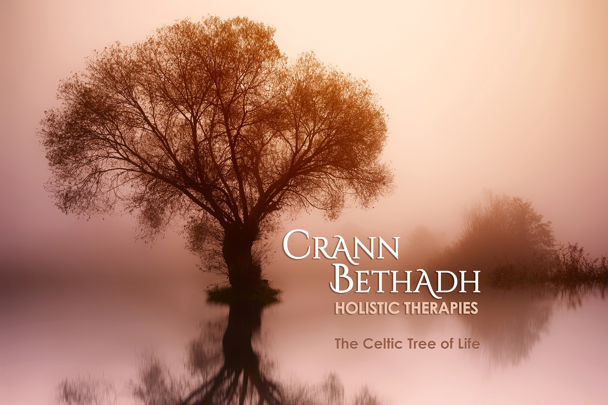 Winner small image - Crann Bethadh Holistic Therapies