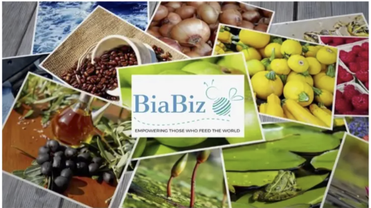 Winner small image - Biabiz Ltd