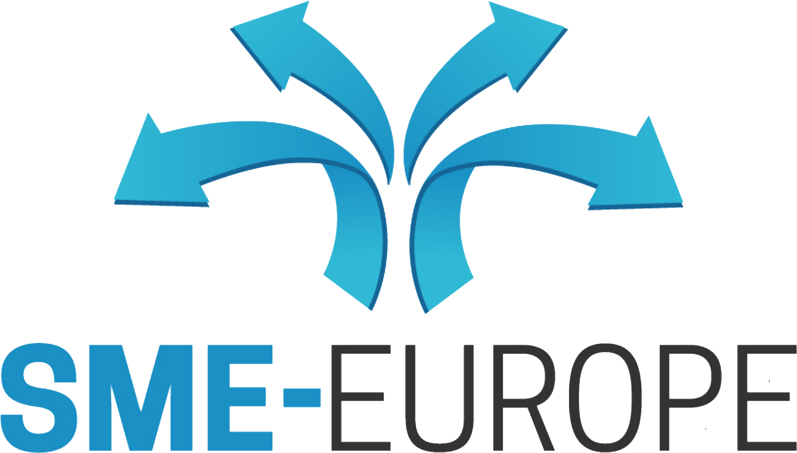 Winner small image - SME-Europe ltd.