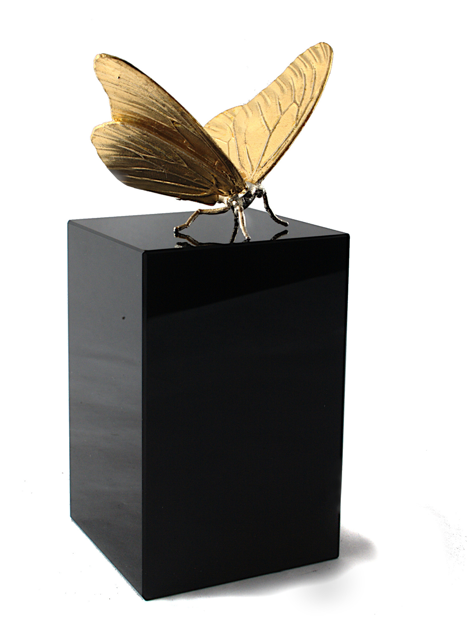 Winner small image - Atelier-Davinci