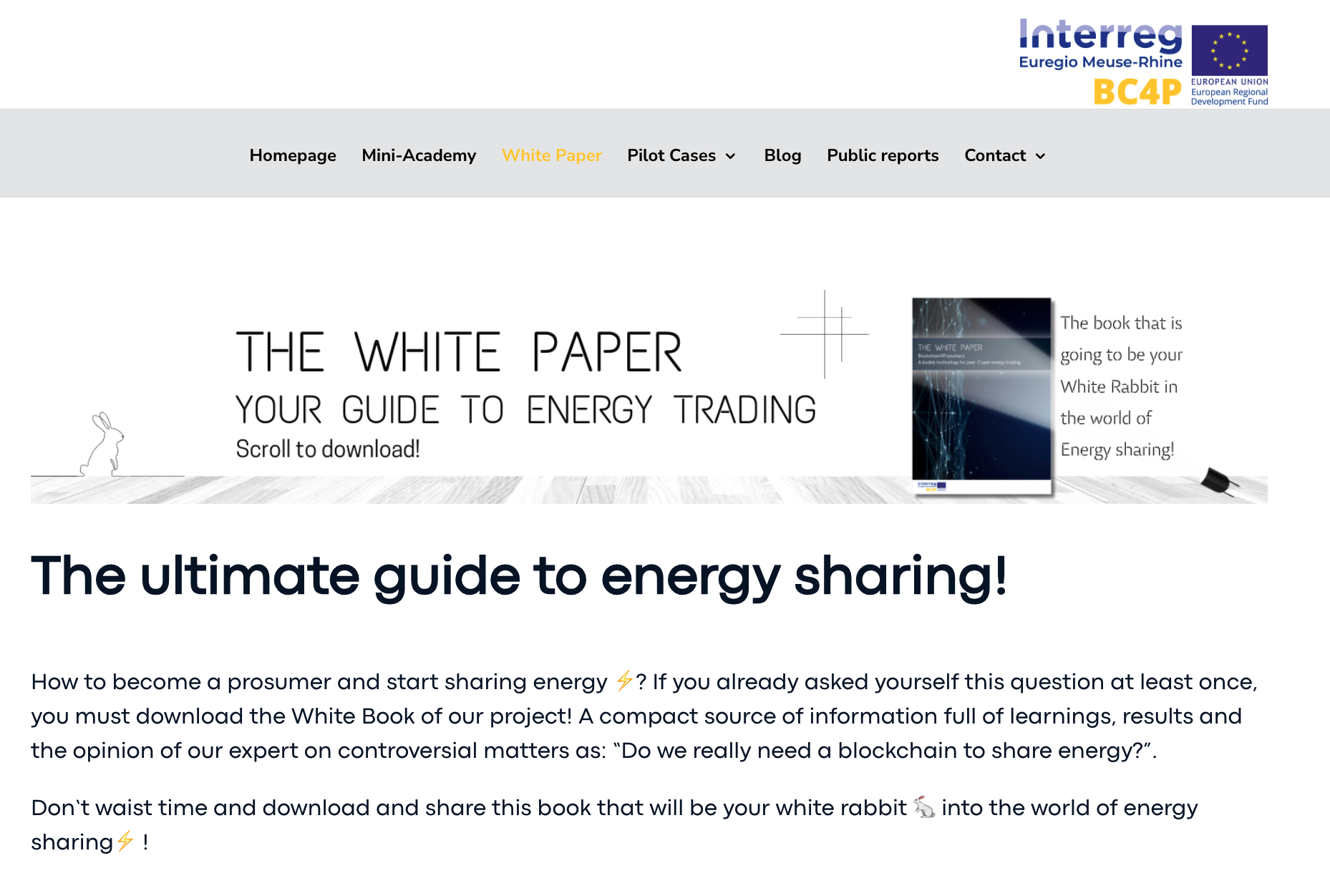 Winner small image - Hogeschool PXL – PXL Smart ICT – Blockchain4Prosumers (Interreg project)