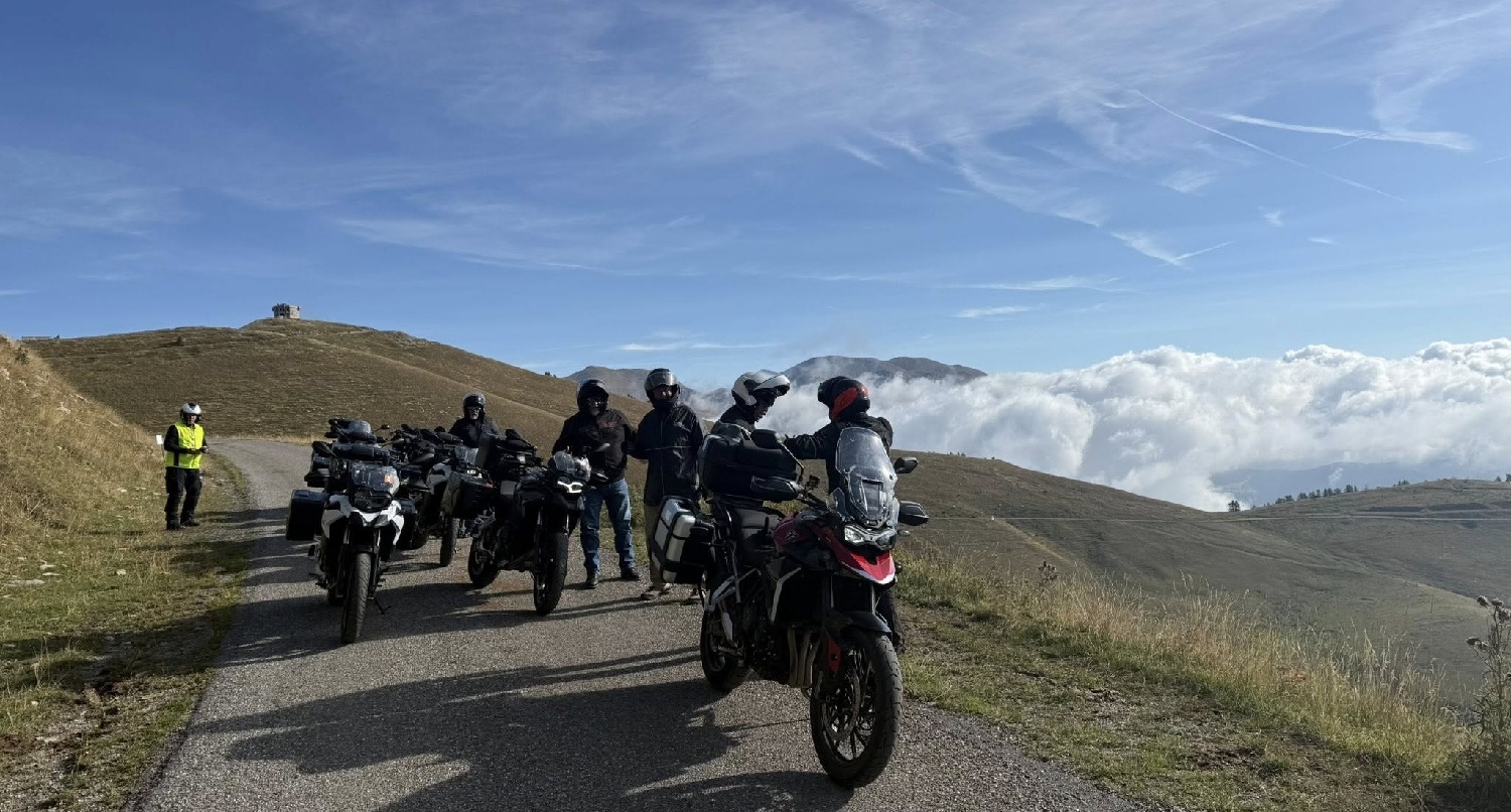 Winner small image - McTours Ltd