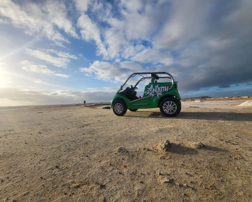 Winner small image - SpinachTours CV