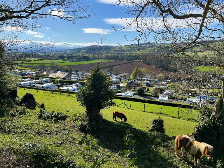 Winner small image - Parkers Farm Holiday Park