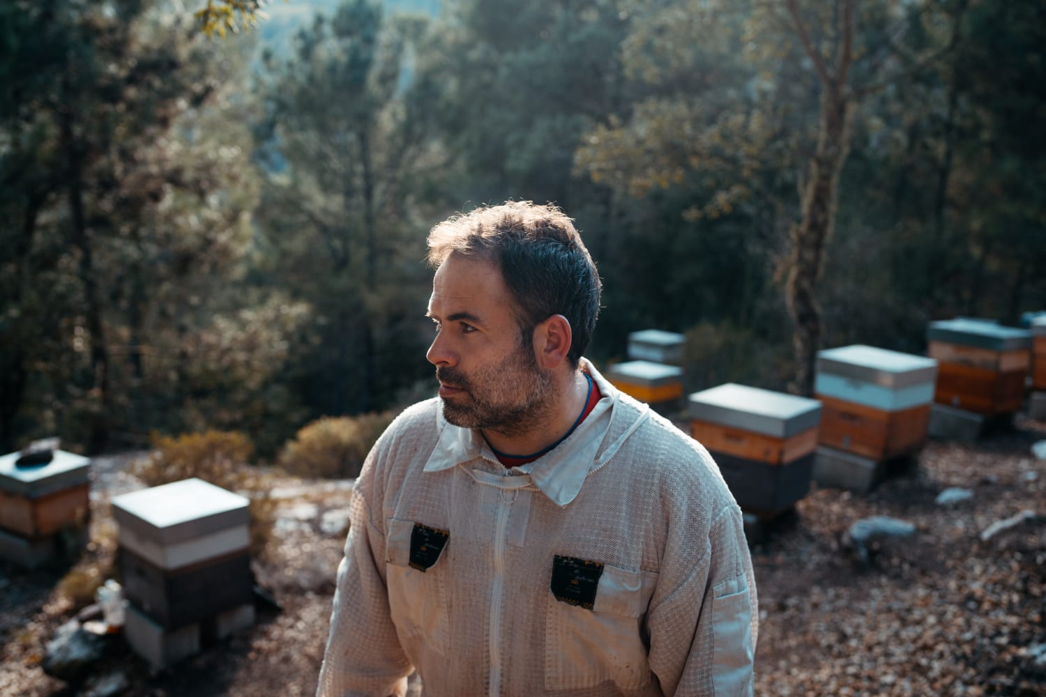 Winner small image - Terras De Boboras