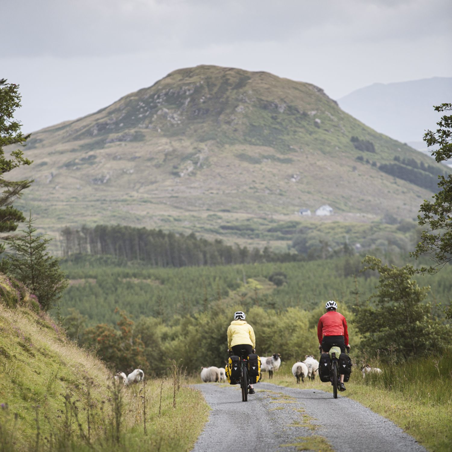 Winner small image - EuroVelo Ireland