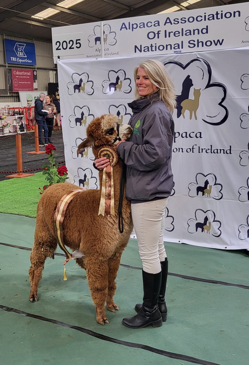Winner small image - FineOaks Alpacas