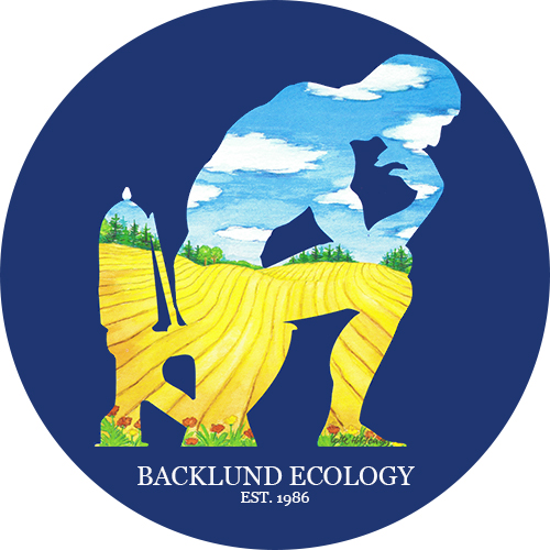 Winner small image - Backlund Aps
