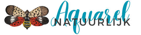 Winner small image - Aquarel Natuurlijk